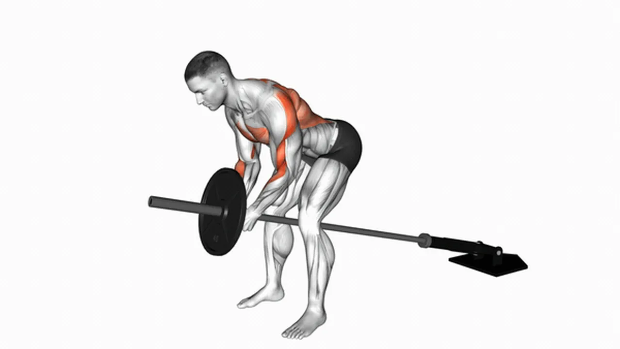 Common Lever Bent Over Row variations Image