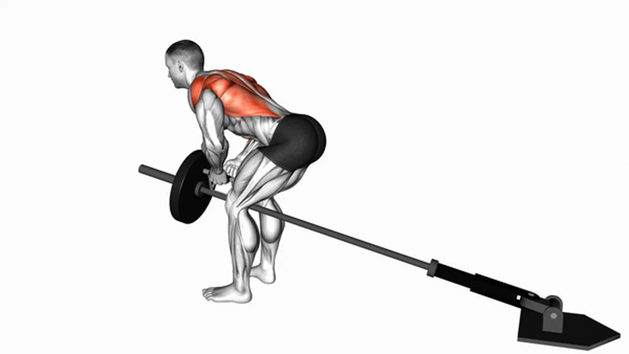 What are the benefits of Lever Bent-Over Row with V-Bar? Image