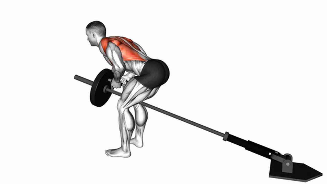 How to do Lever Bent-Over Row with V-Bar? Image