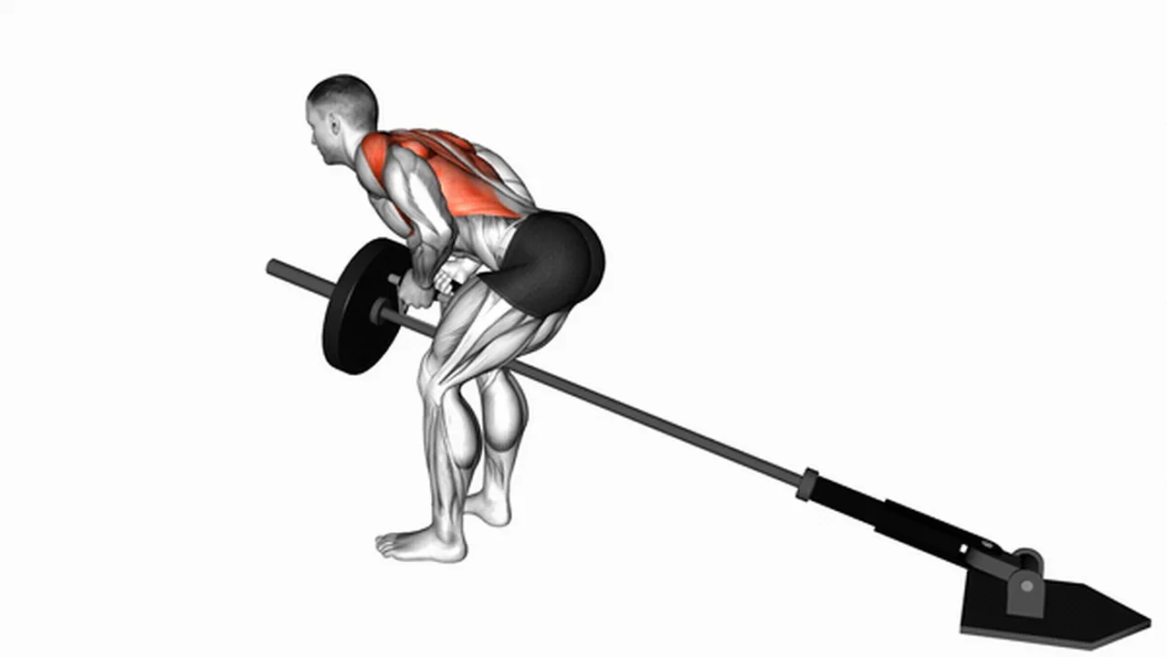 Alternatives to Lever Bent-Over Row with V-Bar Image