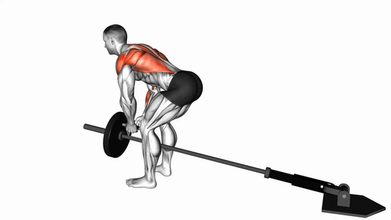 Common mistakes during Lever Bent-Over Row with V-Bar Image