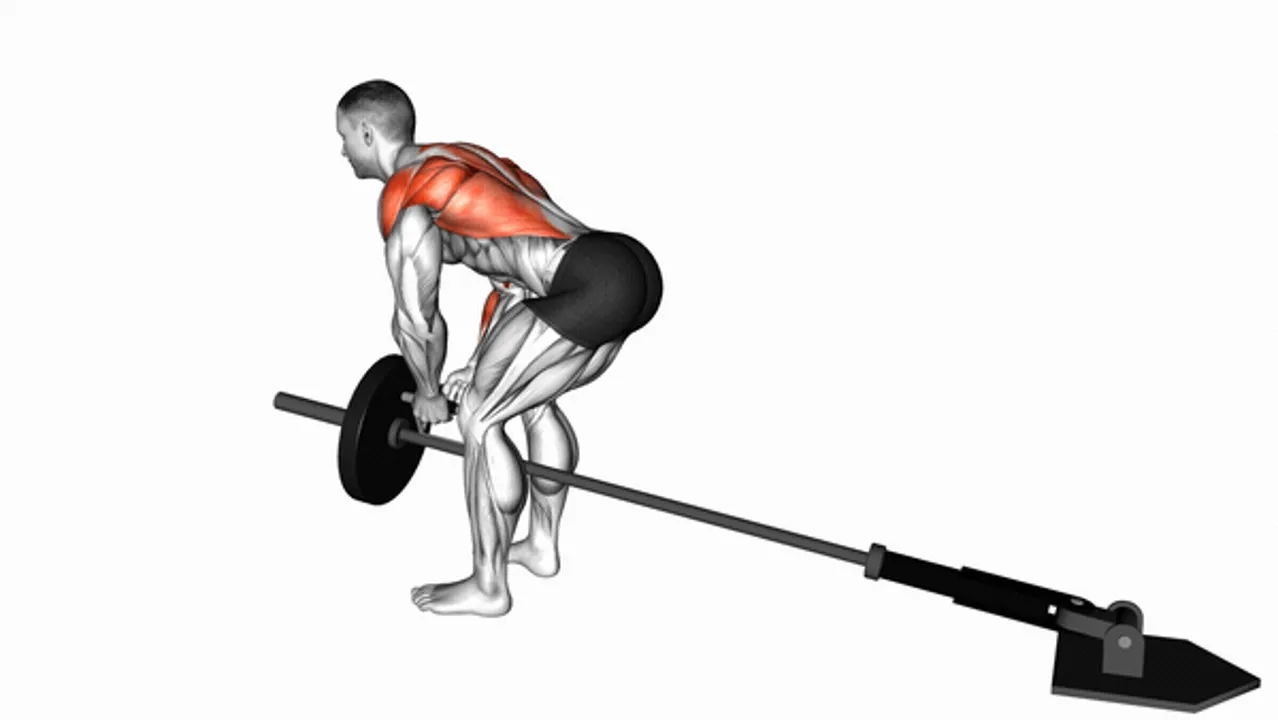 Lever Bent-Over Row with V-Bar