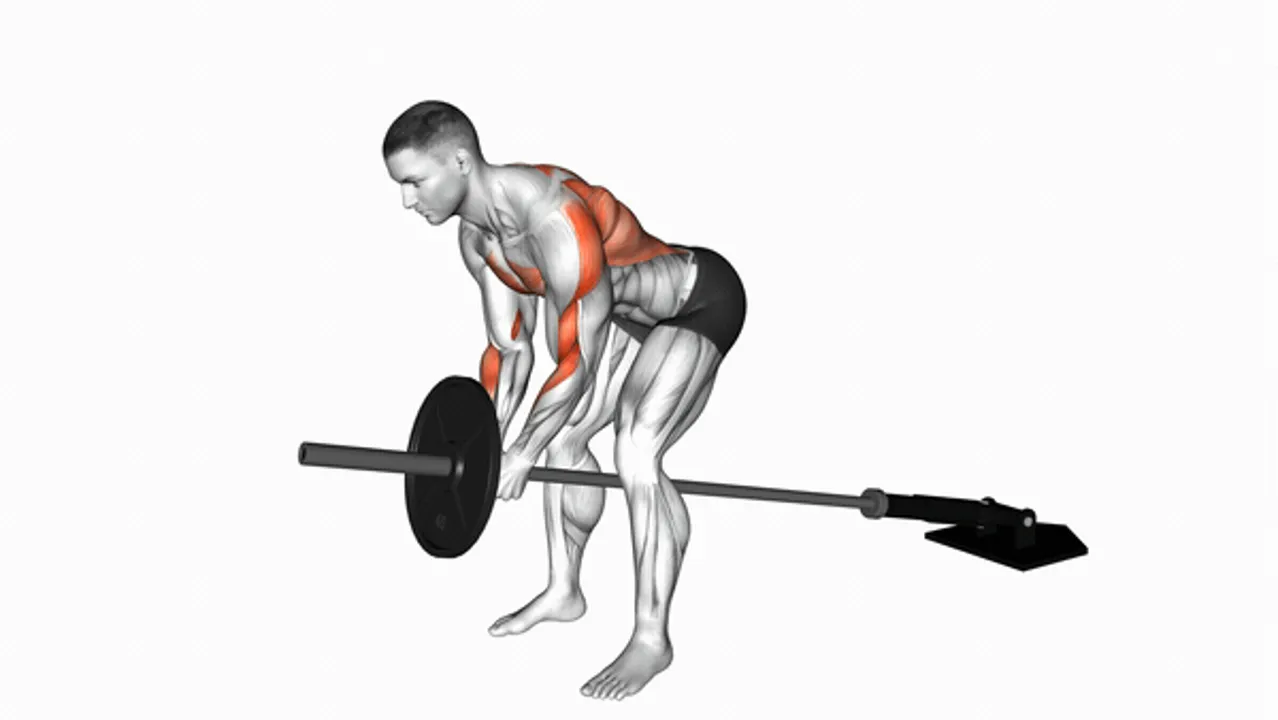 Lever Bent Over Row