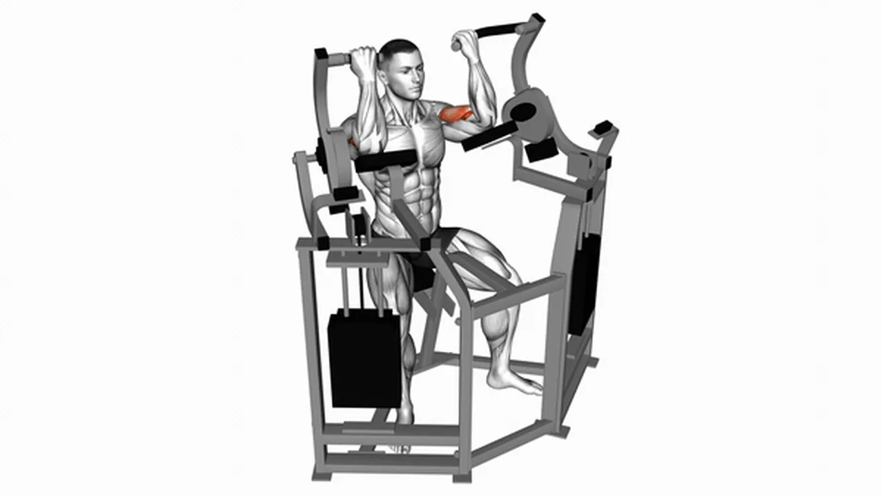 How to do Lever Bicep Curls? Image