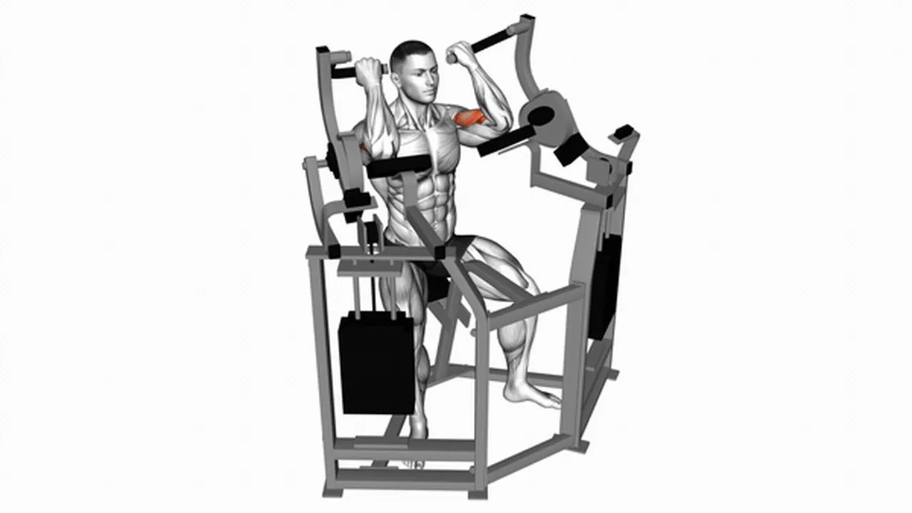 Common Lever Bicep Curl variations Image