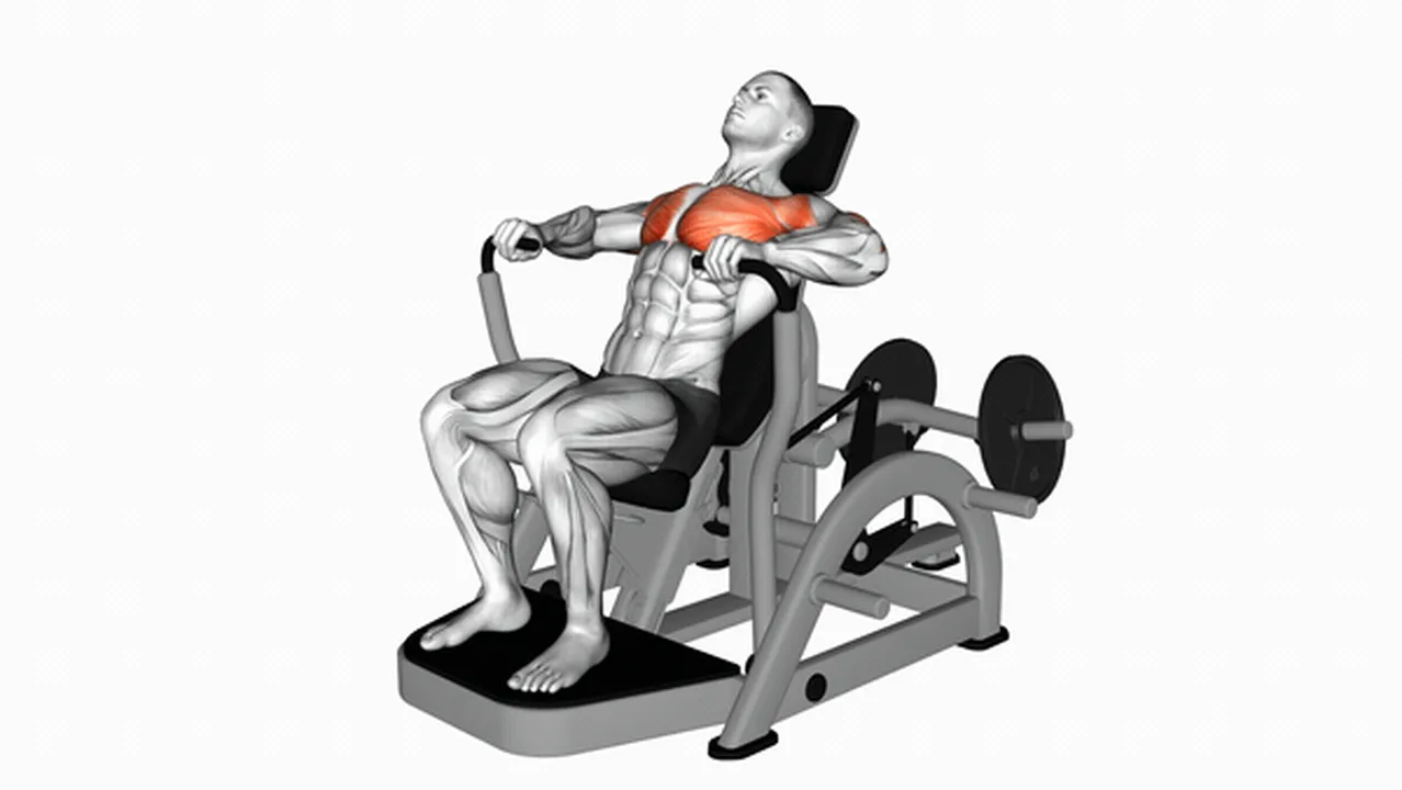 Common Lever Decline Chest Press variations Image