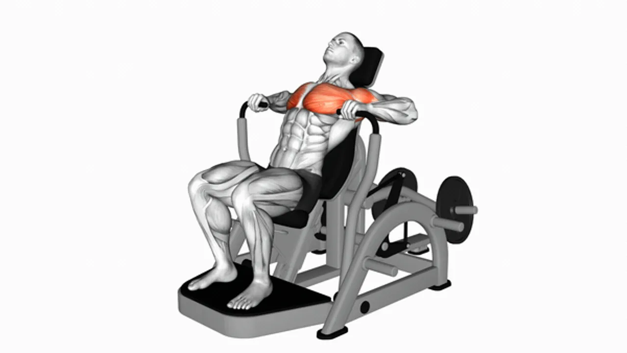 Lever Decline Chest Press