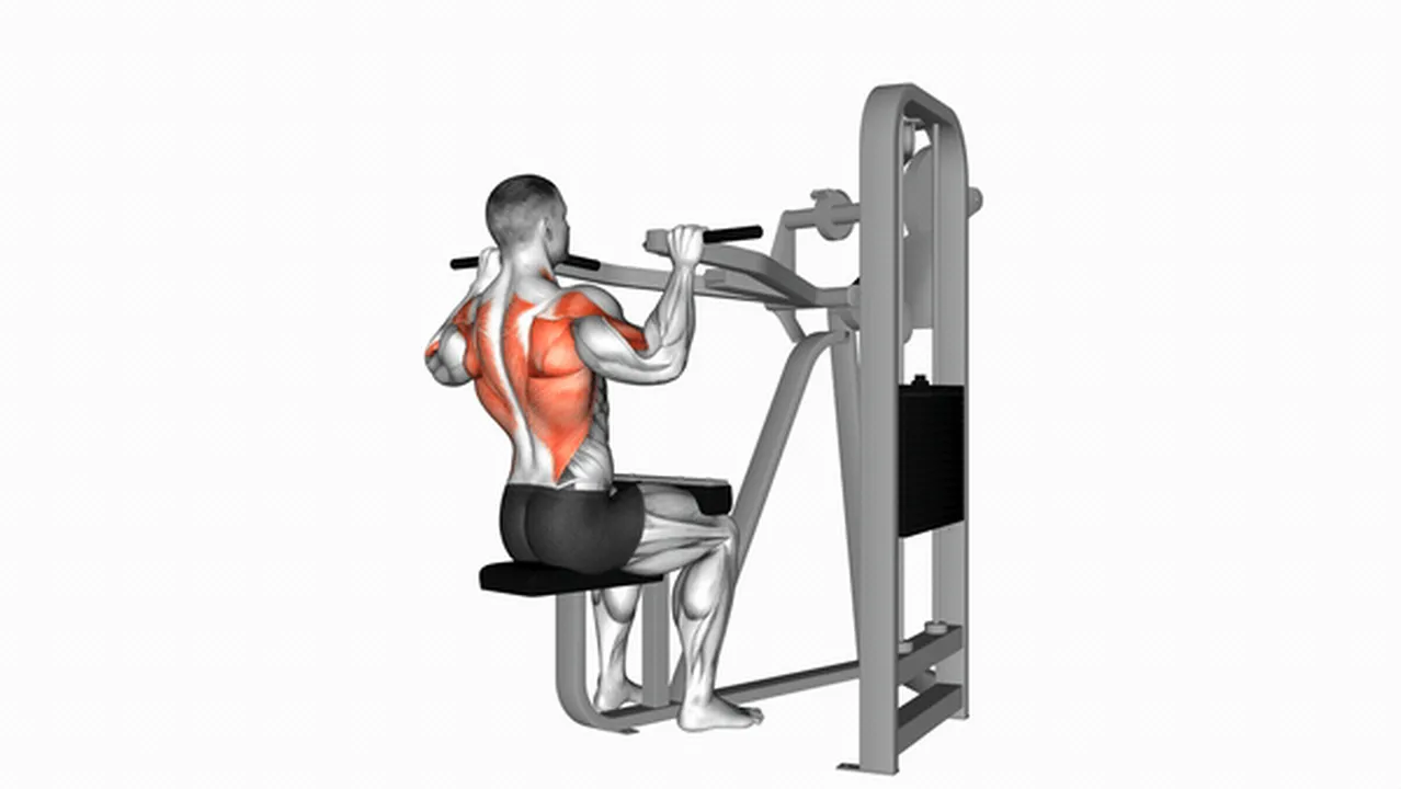 Common Lever Front Pulldown variations Image