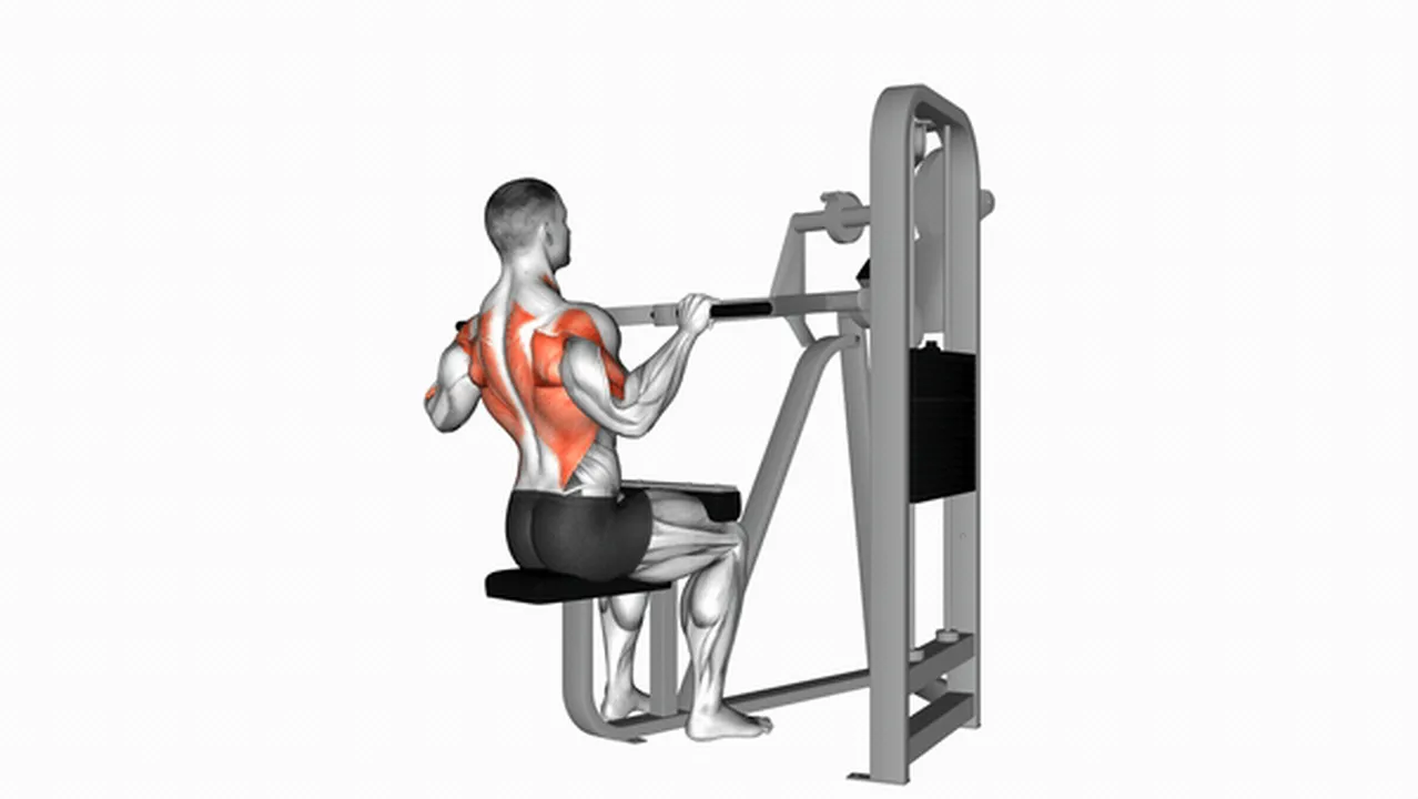 Alternatives to Lever Front Pulldown Image