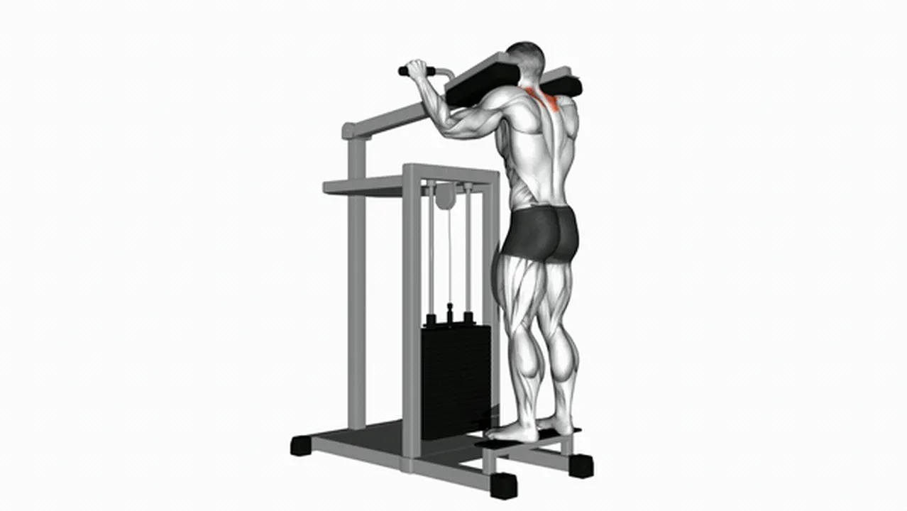 What are the benefits of Lever Gripless Shrugs? Image