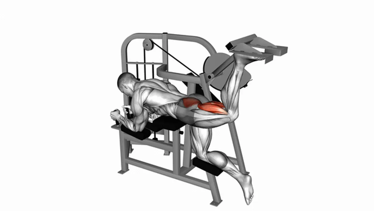 Common Lever Hip Extension variations Image