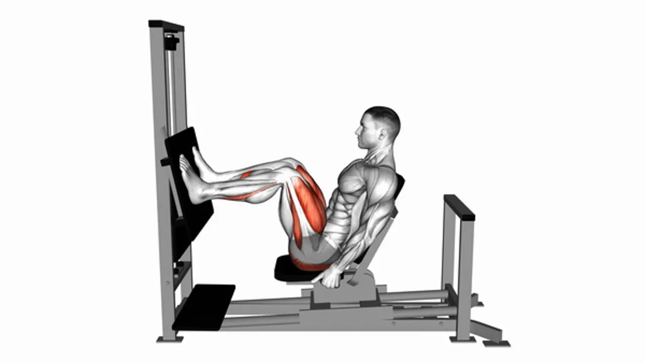 Lever Horizontal Leg Press