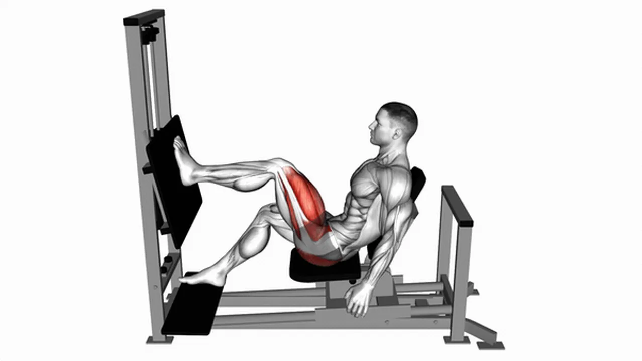 Common variations of the Lever Horizontal One-Leg Press Image