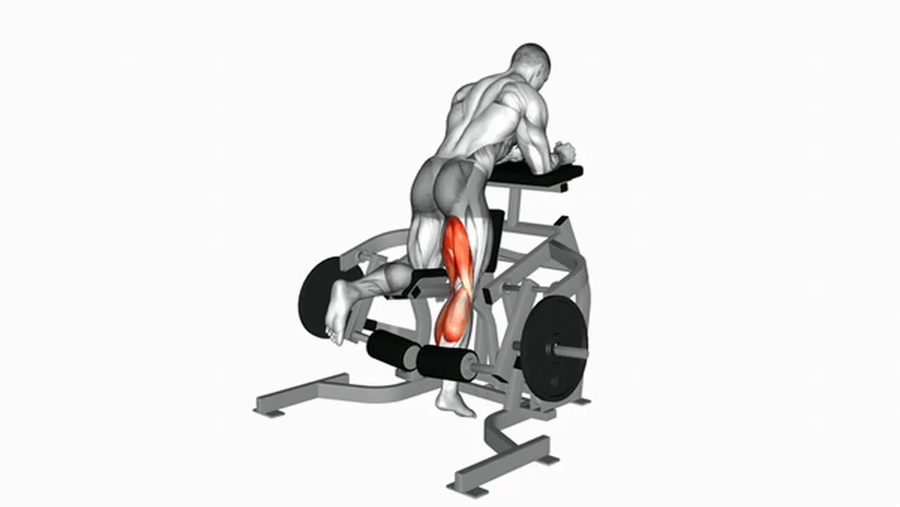 What are the benefits of Lever Kneeling Leg Curls? Image