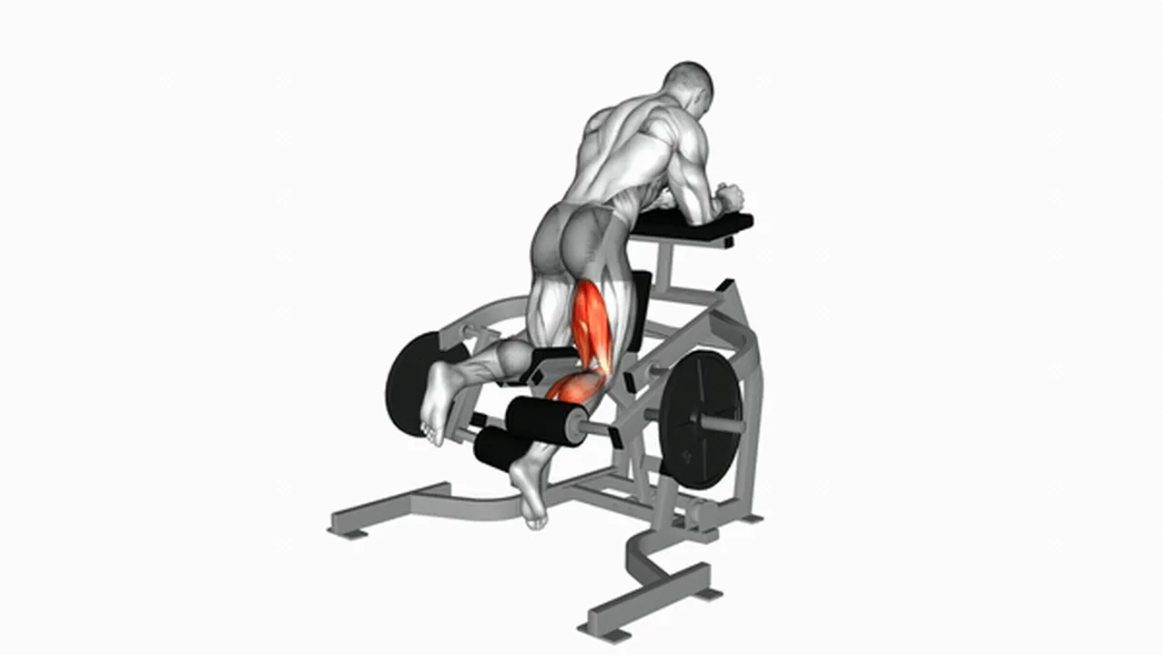 Common Lever Kneeling Leg Curl variations Image