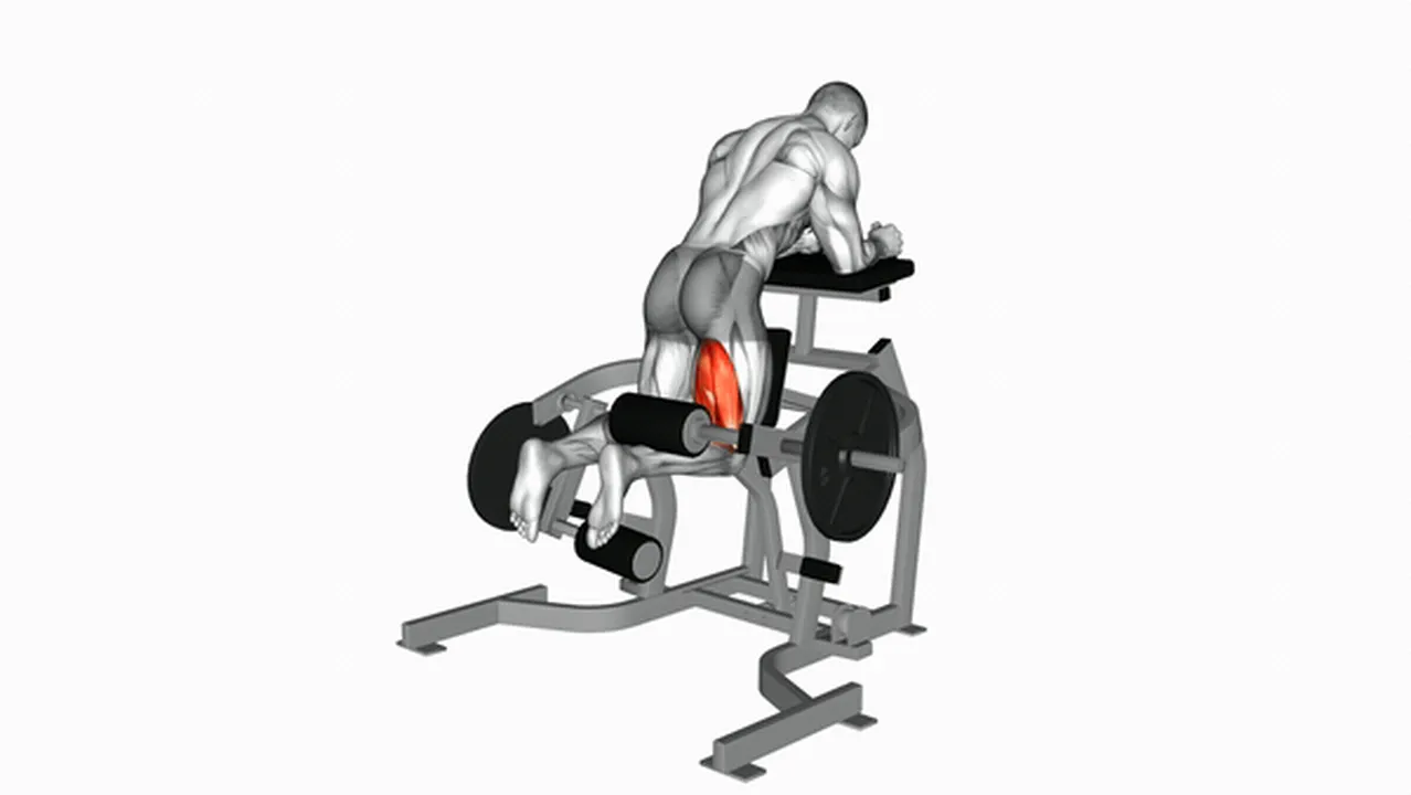 Alternatives to Lever Kneeling Leg Curls Image