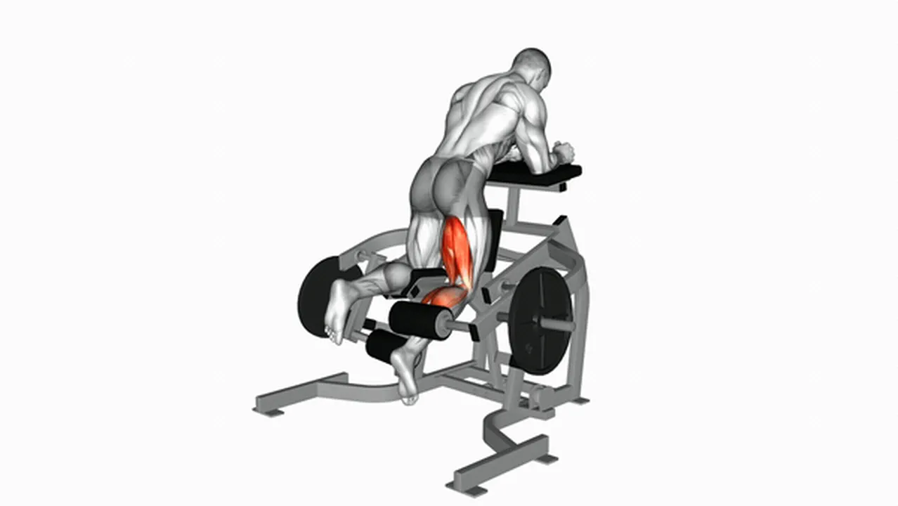 Common mistakes during Lever Kneeling Leg Curls Image