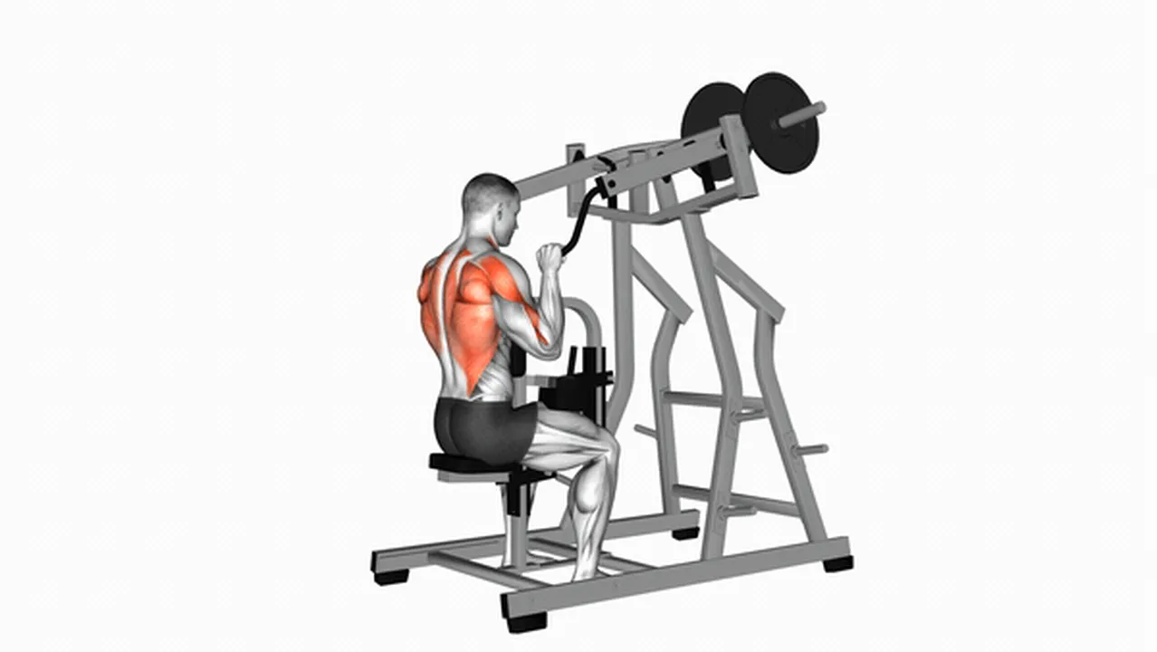 Common Lever Lateral Pulldown variations Image