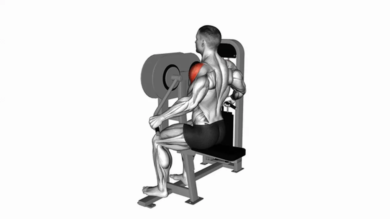 What are the benefits of Lever Lateral Raises? Image