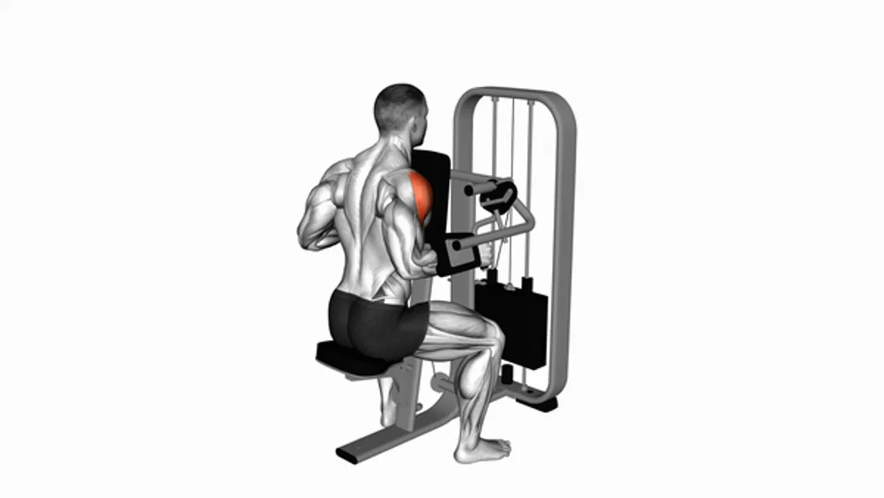 Lever Lateral Raise with Chest Support