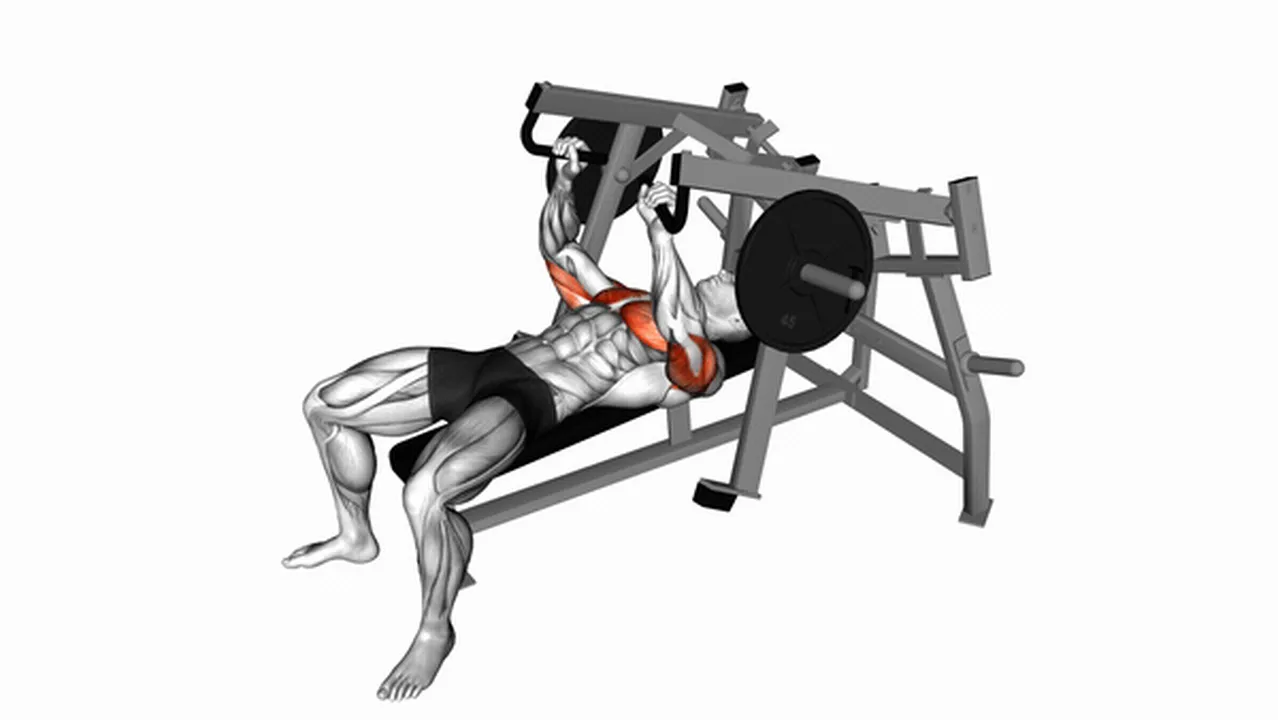 Common Lever Lying Chest Press variations Image