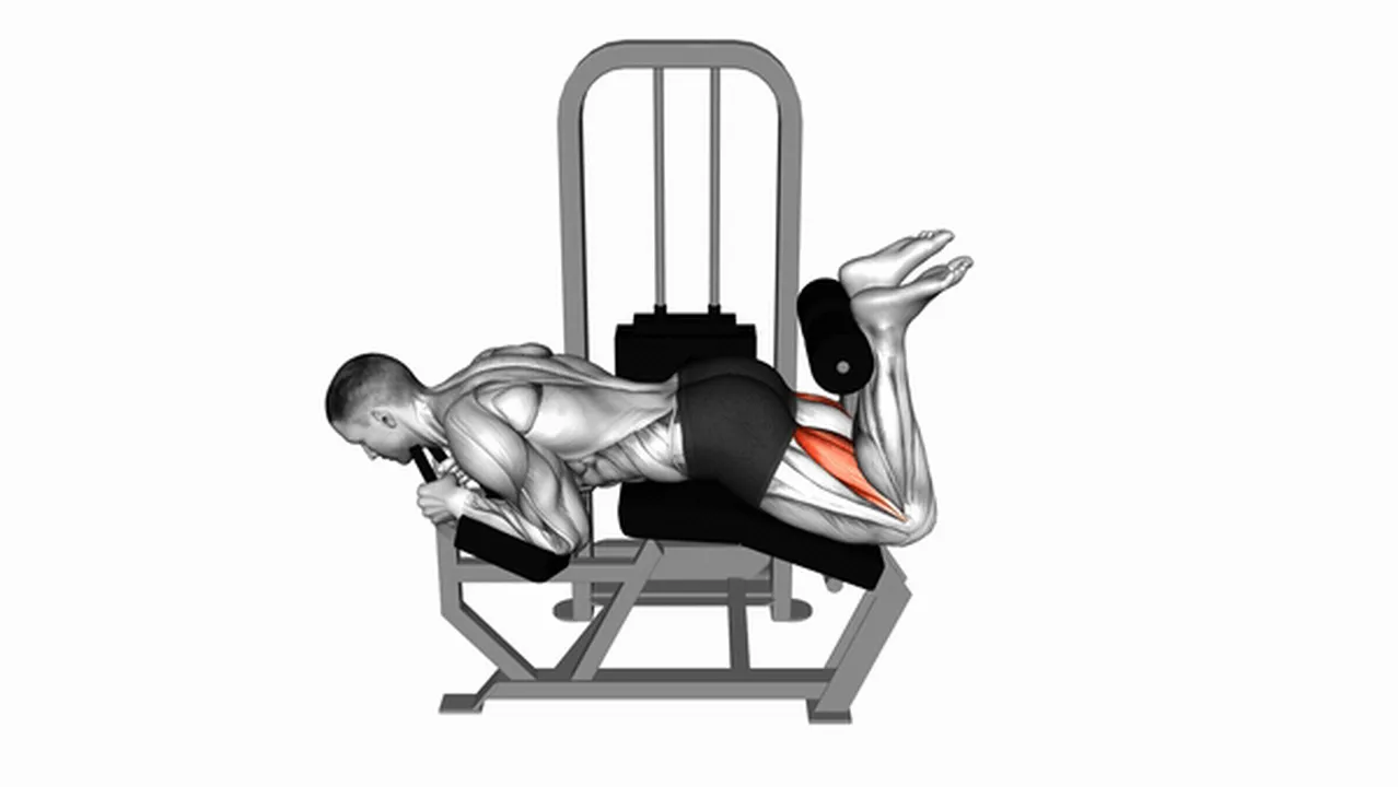 How to do Lever Lying Leg Curls? Image