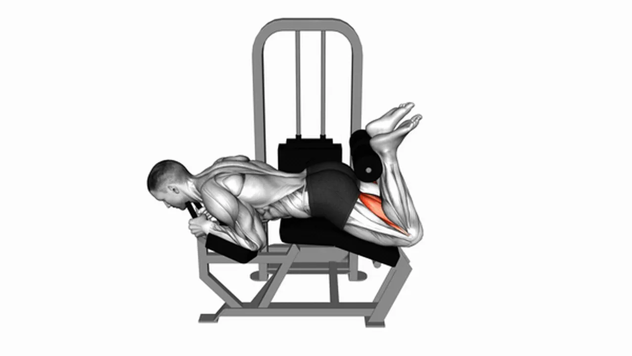 Common Lever Lying Leg Curl variations Image