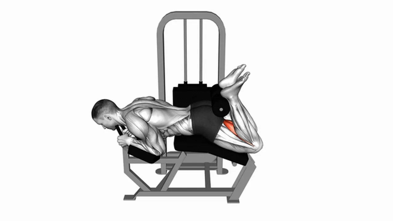 Alternatives to Lever Lying Leg Curls Image