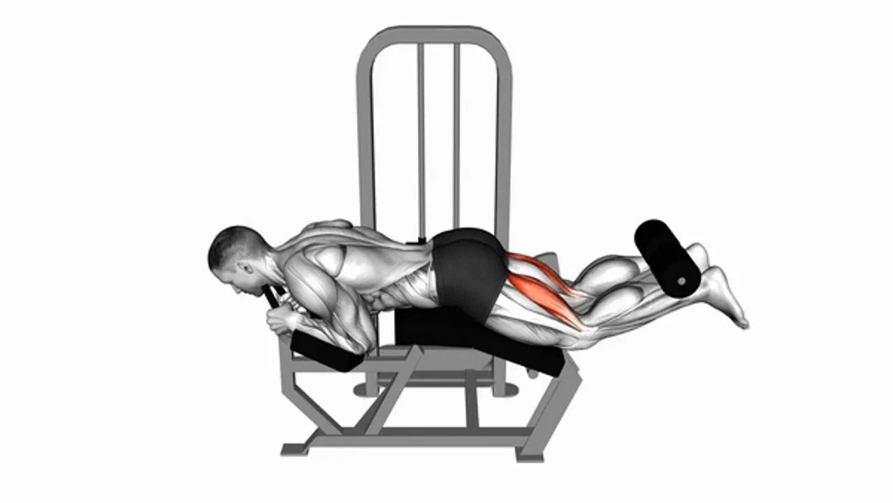 Lever Lying Leg Curl