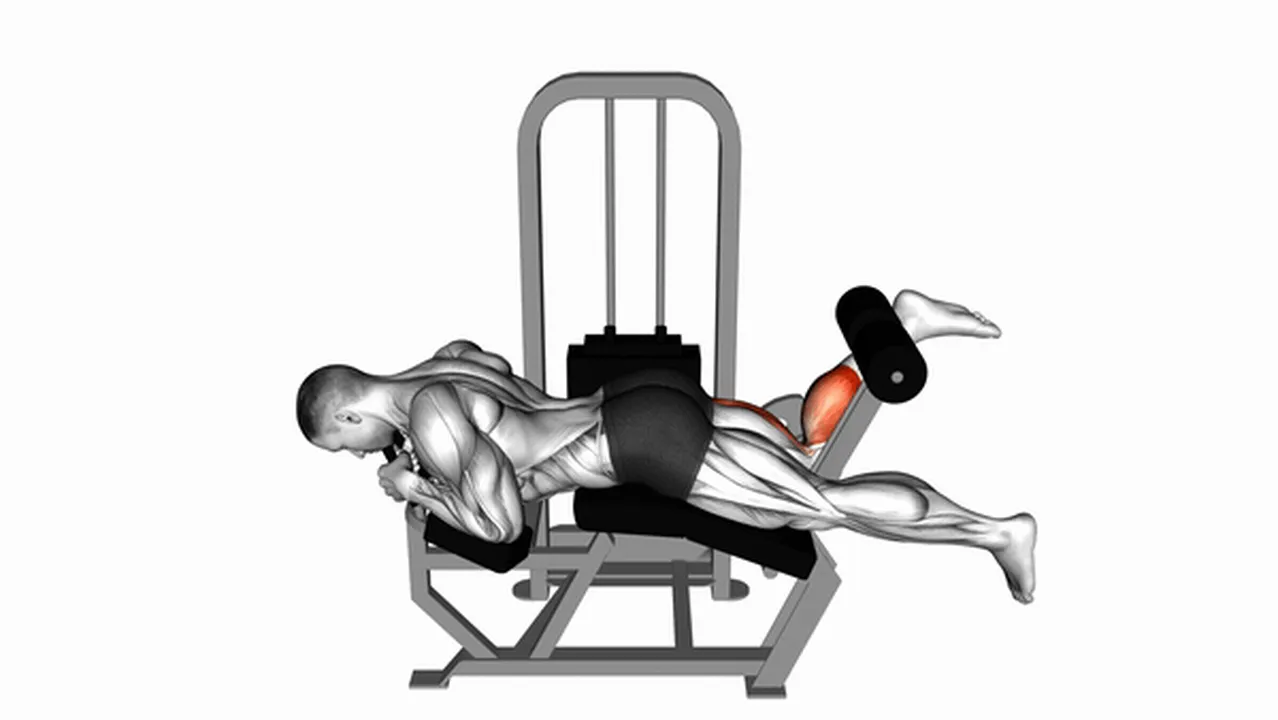 Common Lever Lying Single Leg Curl variations Image