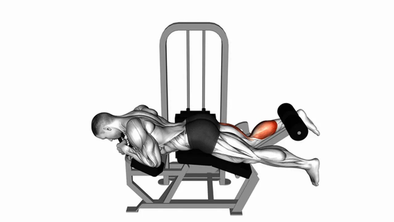 Alternatives to Lever Lying Single Leg Curls Image