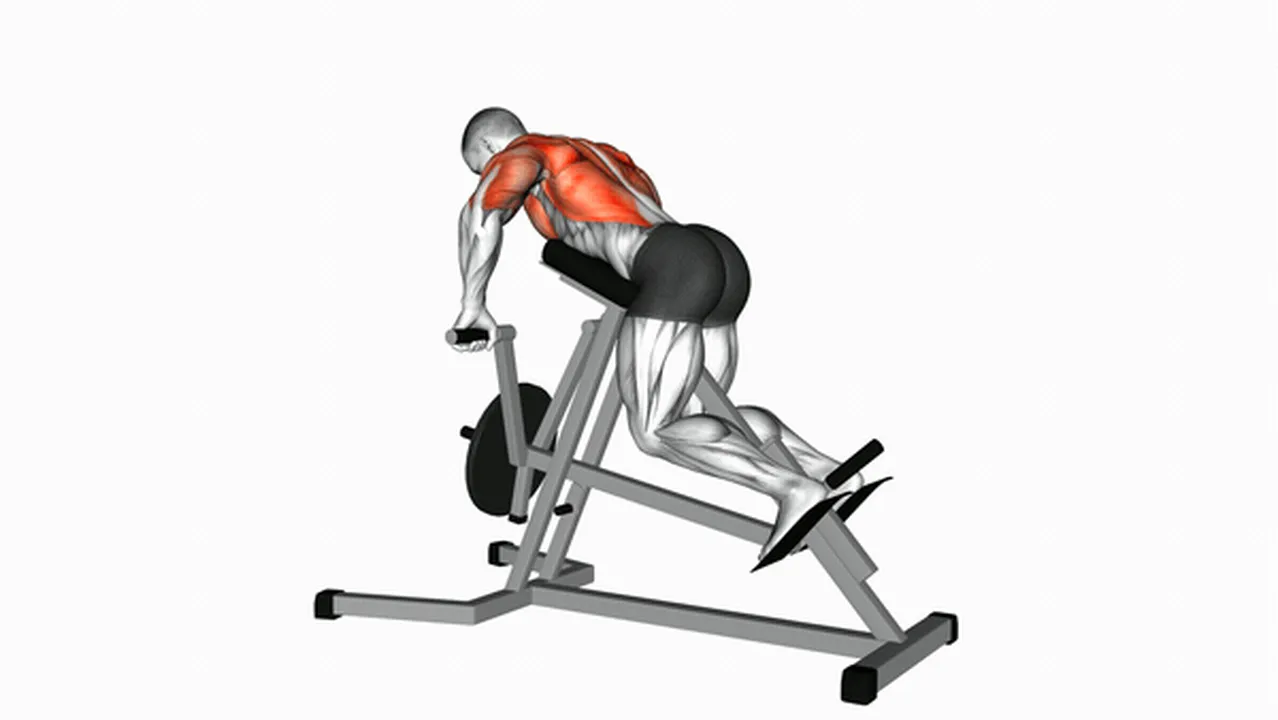 What are the benefits of Lever Lying T-Bar Rows? Image