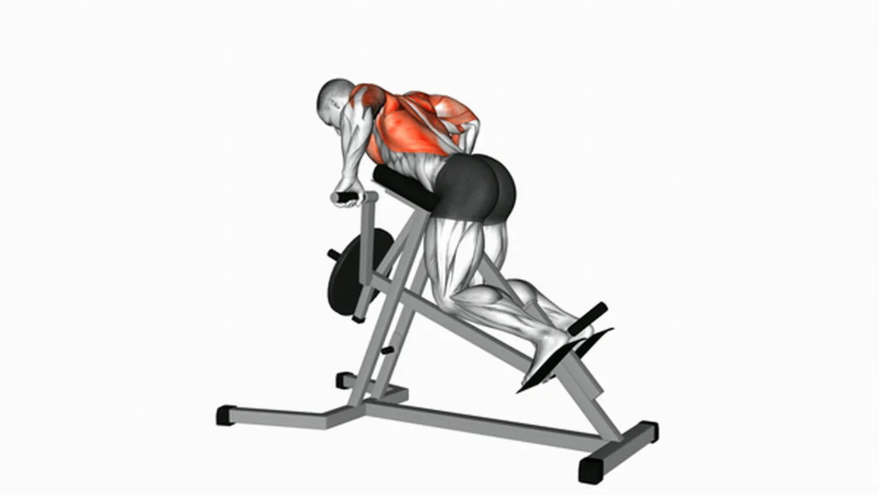 Common Lever Lying T-Bar Row variations Image