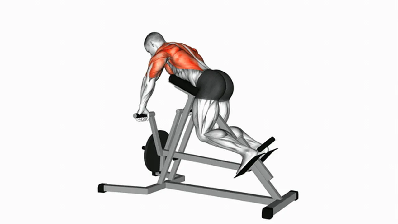 Alternatives to Lever Lying T-Bar Rows Image