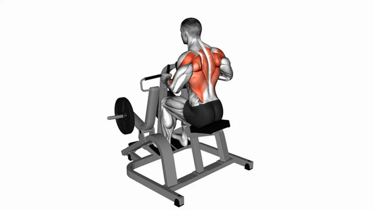 What are the benefits of lever neutral grip seated rows? Image