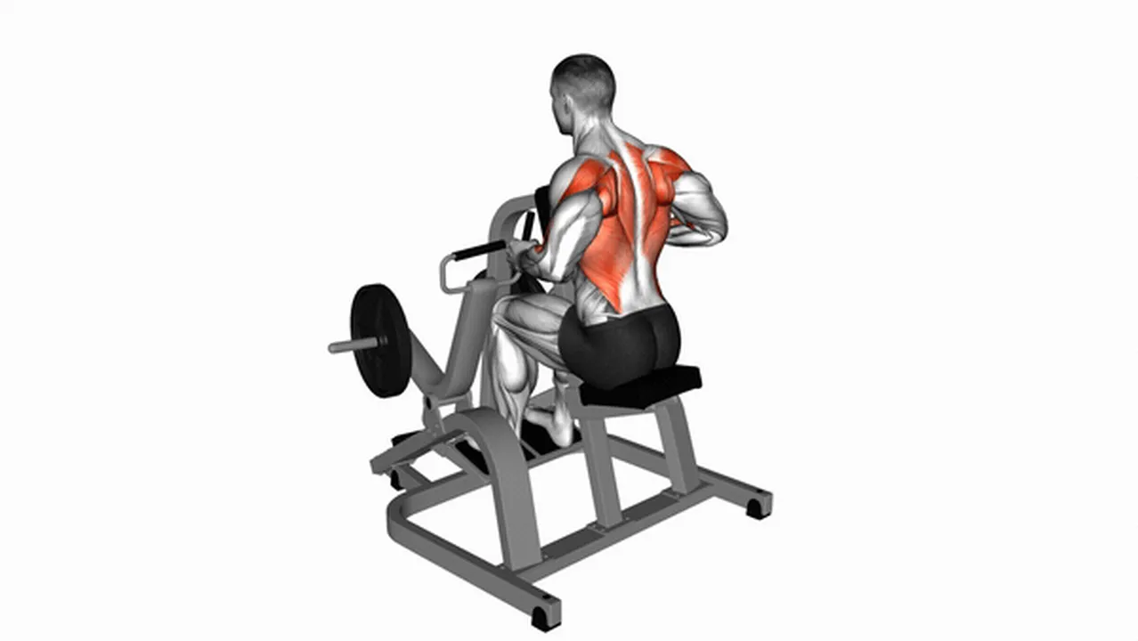 Common lever neutral grip seated row variations Image