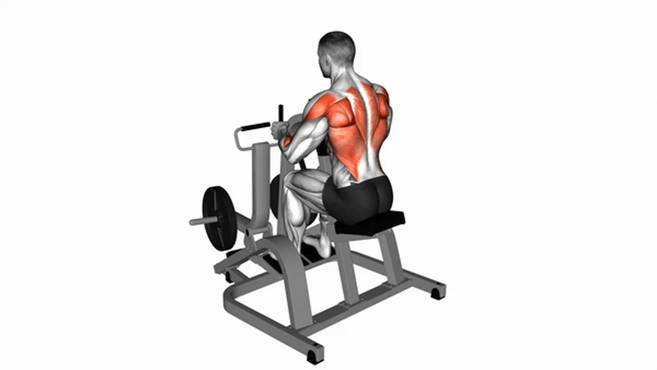 Alternatives to lever neutral grip seated rows Image