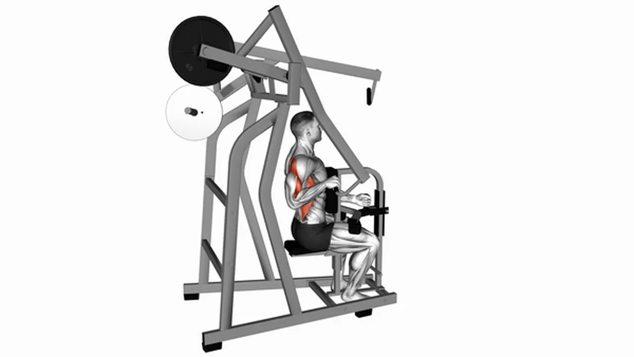 Alternatives to the Lever One-Arm Lateral High Row Image