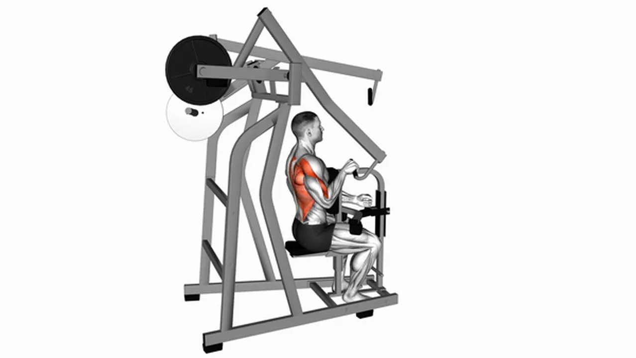 Common mistakes during the Lever One-Arm Lateral High Row Image