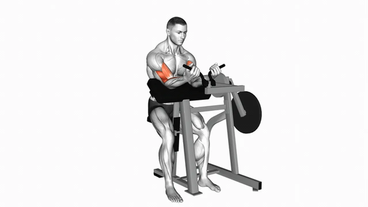 What are the benefits of Lever Preacher Curls? Image