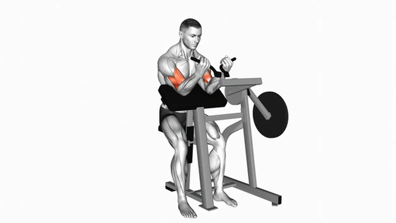 How to do Lever Preacher Curls? Image