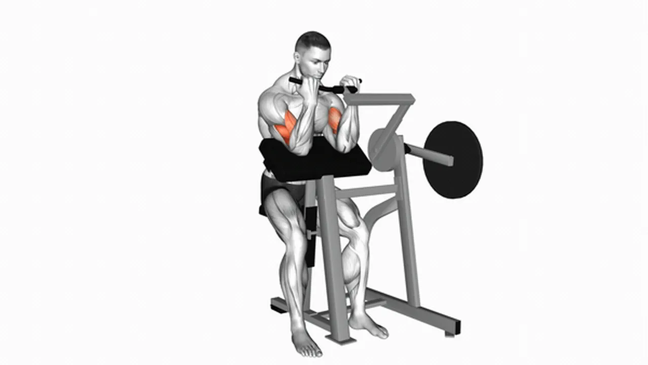 Alternatives to Lever Preacher Curls Image