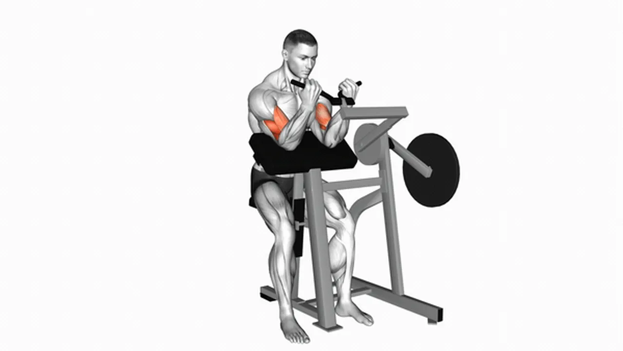 Common mistakes during Lever Preacher Curls Image