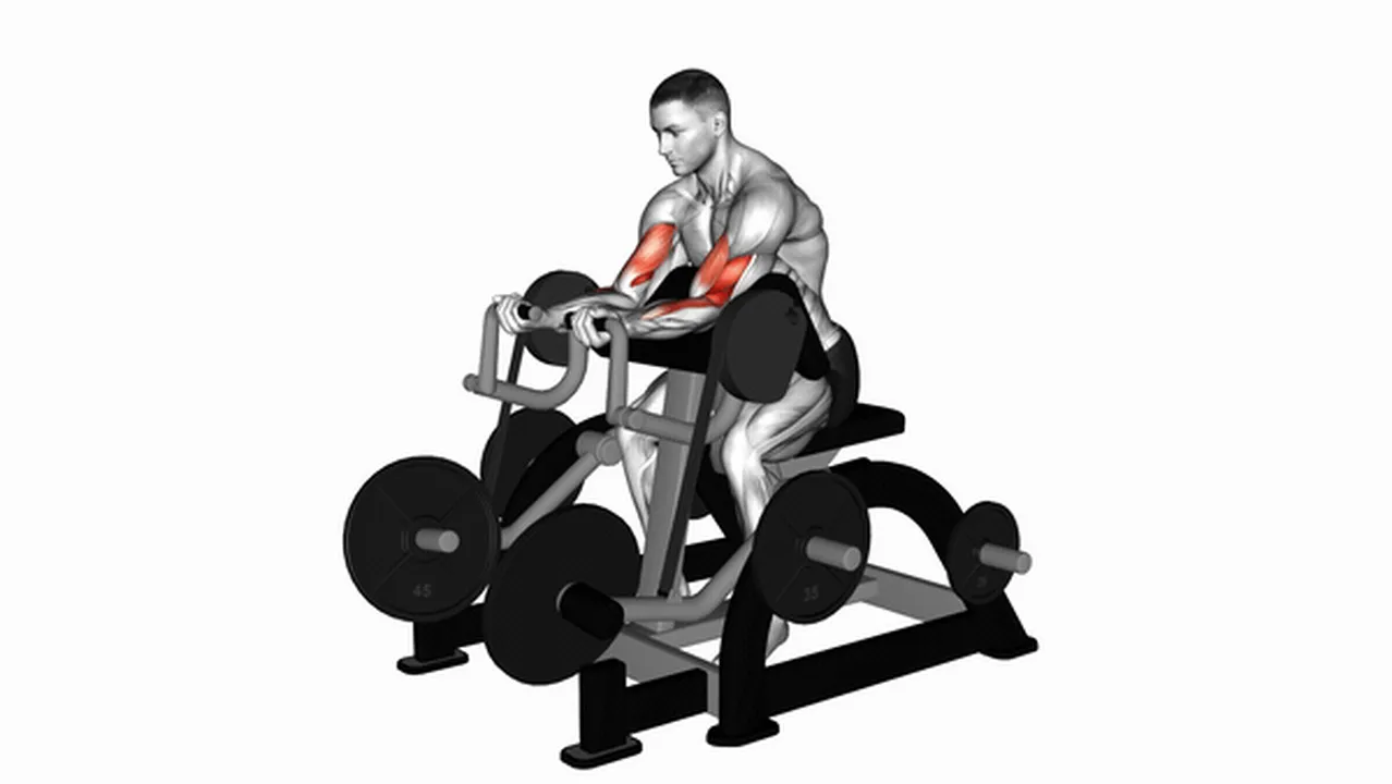 How to do the Lever Preacher Curl (Plate Loaded)? Image