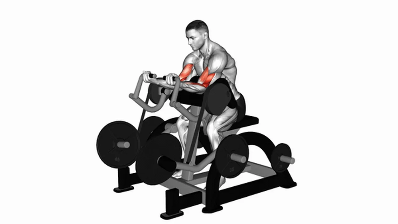 Alternatives to the Lever Preacher Curl Image