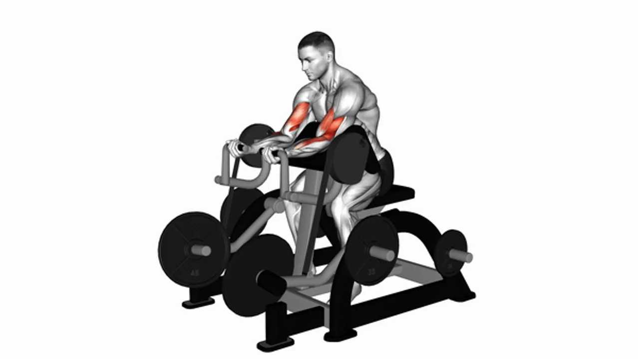 Lever Preacher Curl