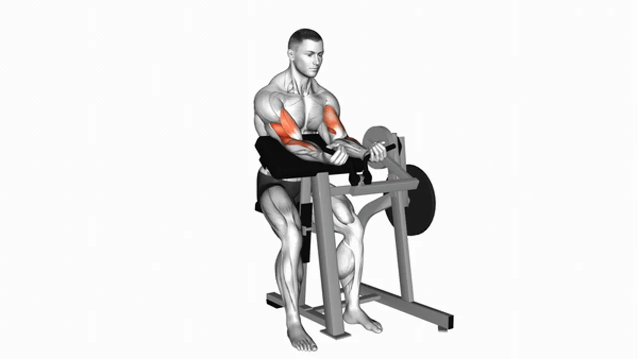 Lever Preacher Curl