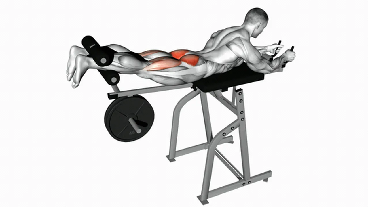 What are the benefits of Lever Reverse Hyperextensions? Image