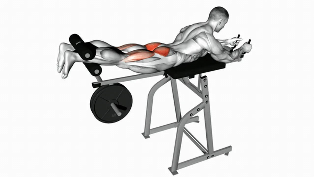 How to do Lever Reverse Hyperextensions? Image