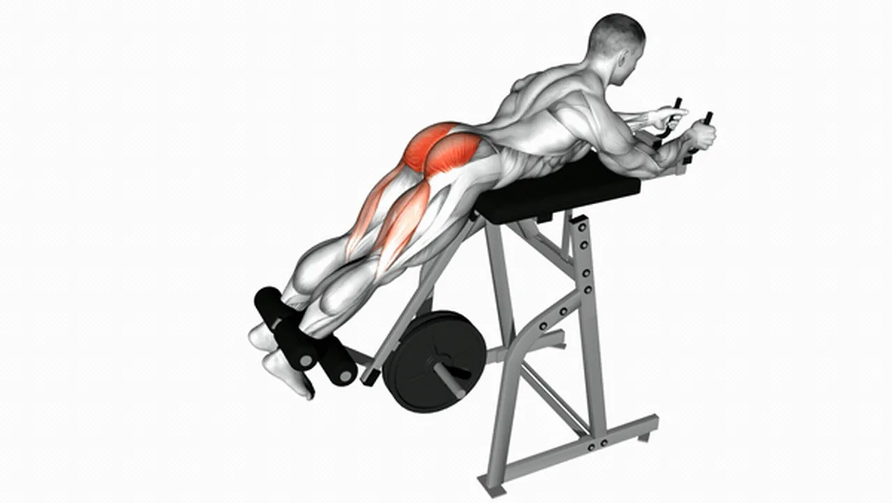 Common Lever Reverse Hyperextension variations Image